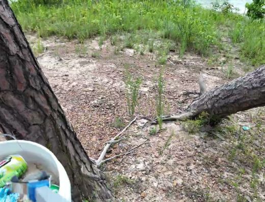 Good Report: Stepping And Helping Pick Up Trash at Twin Knobs Campground, Morehead KY
