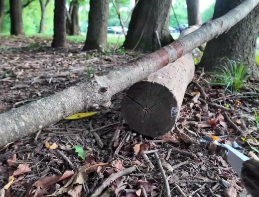 Good Report: Stepping And Helping Pick Up Trash at Harrods Hill Park, Lexington KY