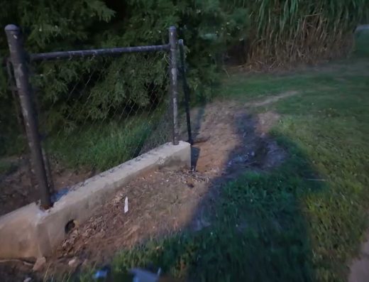 Good Report: Stepping And Helping Pick Up Trash at Cardinal Run Park South, Lexington KY