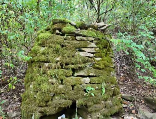 Good Report: Stepping And Helping Pick Up Trash at Raven Run Nature Sanctuary, Lexington KY