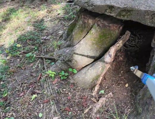 Good Report: Stepping And Helping Pick Up Trash at Waveland State Historic Site, Lexington KY