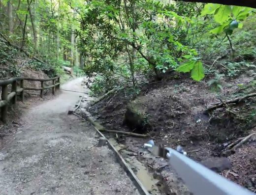 Good Report: Stepping And Helping Pick Up Trash at Natural Bridge State Resort Park, Slade KY