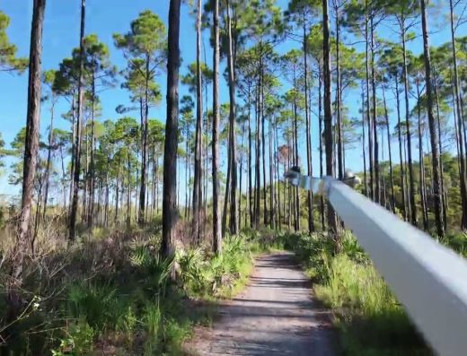 Good Report: Stepping And Helping Pick Up Trash at Conservation Park, Panama City Beach FL